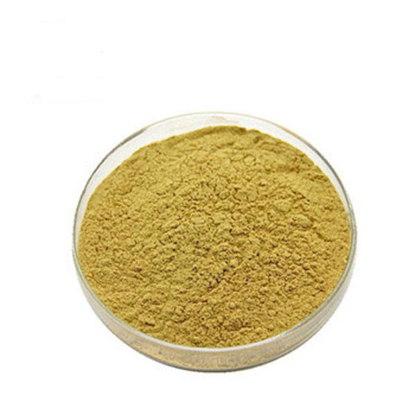 Manufacturer High Quality 2,4-Dinitroaniline with Best Price 97-02-9