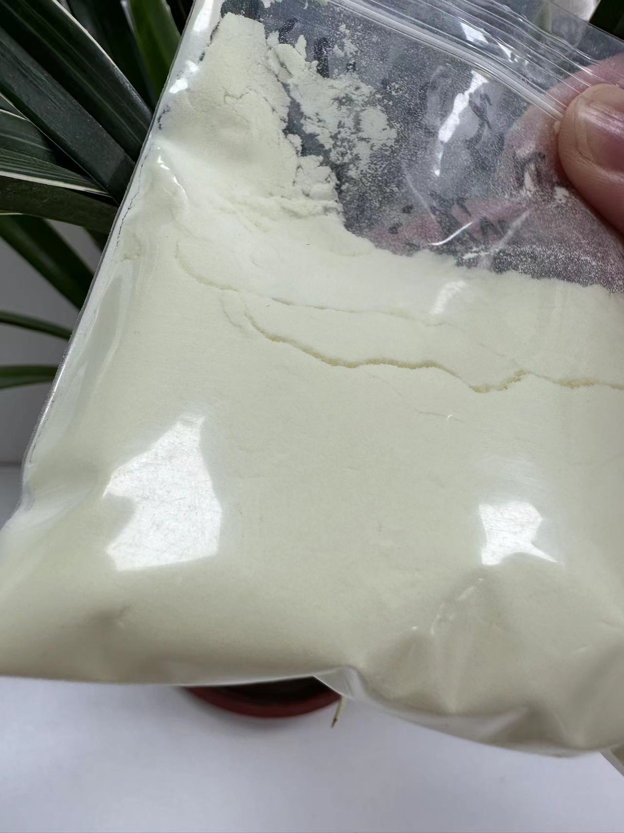 Buy 2-chloro-5- Methylpyridin-4-ylamine / Cas: 79055-62-2, 5kg at Best Price in China