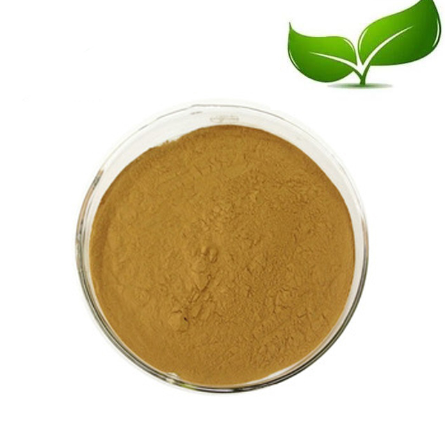 High Quality Gynostemma Plant Extract CAS 15588-68-8 Gypenoside With Competitive Price 
