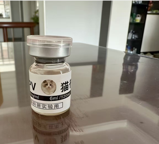 Feline infectious peritonitis (FIP) 20 concentration 5.5 ml, intraperitoneal injection for dry and wet FIP, reducing abdominal fluid, nutritional solution for cats with big bellies.