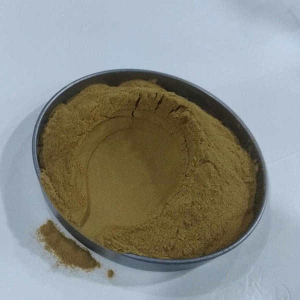 CAS 10597-60-1 Olive Leaf Extract Hydroxytyrosol Powder