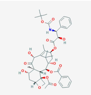 Anti-cancer Drug Docetaxel Anhydrous Cas No: 114977-28-5