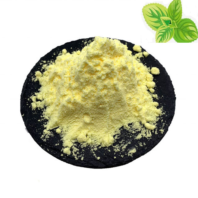 High-Purity Nitazoxanide Powder CAS 55981-09-4 for Effective Treatment