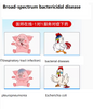 Supply Ceftriaxone Sodium for Injection 0.5g/1g And Powder for Animal