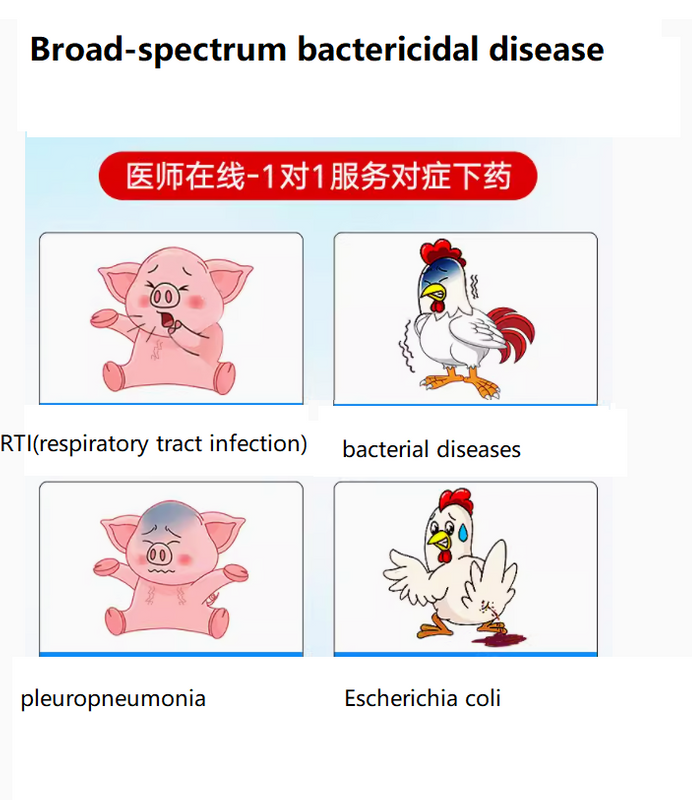 Best Price Ceftriaxone Sodium for Injection 0.5g/1g And Powder for Animal