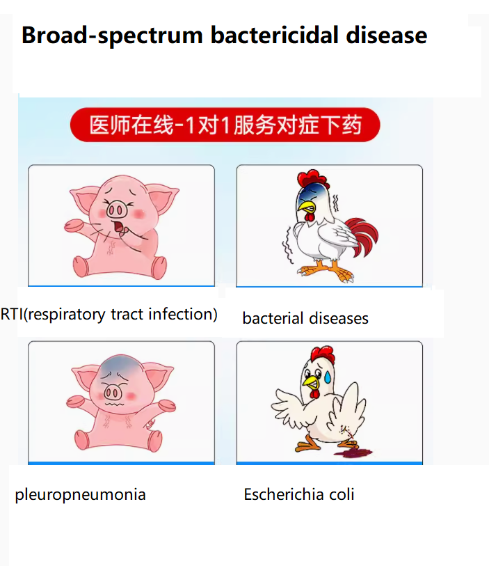 Supply Ceftriaxone Sodium for Injection 0.5g/1g And Powder for Animal