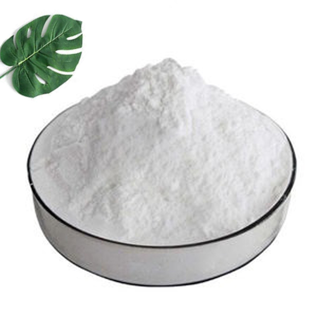 Supply High Quality Octanoic Hydrazide CAS 6304-39-8 n-Octanohydrazide With Stock 
