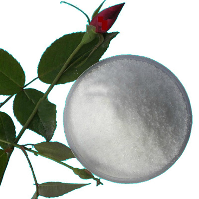 Supply High Quality Peptides Dihexa CAS 1401708-83-5