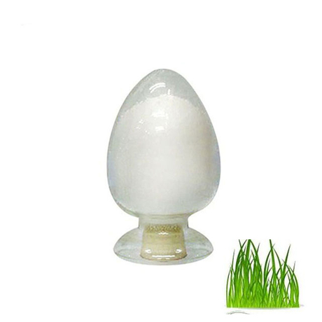 Supply High Purity Chlorobutanol CAS 57-15-8 With Fast Delivery 