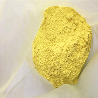 High Quality Quercetin Dihydrate CAS 6151-25-3 Quercetin With Stock 