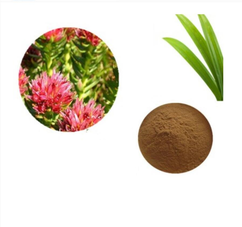 Best Price Natural Rhodiola Rosea Root Extract Powder Salidroside Supplier Anti-oxidation