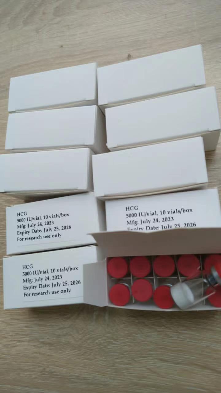 HCG 5000iu Supplier with High Quality And Best Price