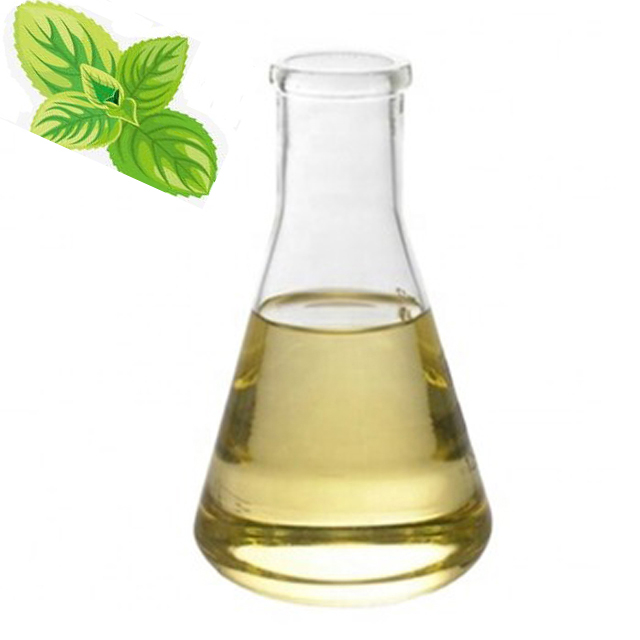 Supply High Quality 3-Fluoro-5-Bromotoluene CAS No. 202865-83-6 with Bulk Price