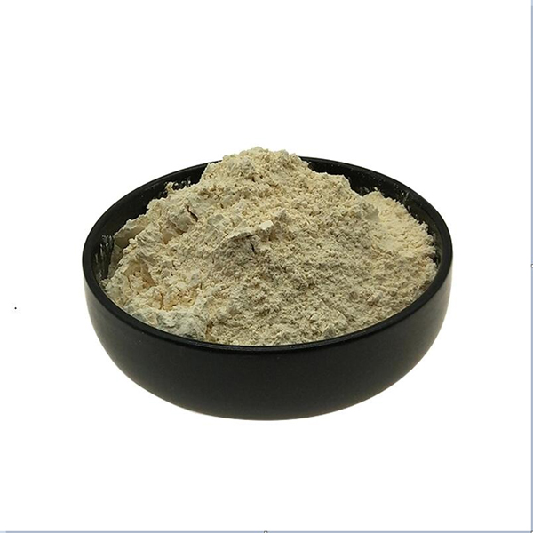 High Quality Olive Leaf Extract 20% Hydroxytyrosol Powder CAS 10597-60-1 Price 