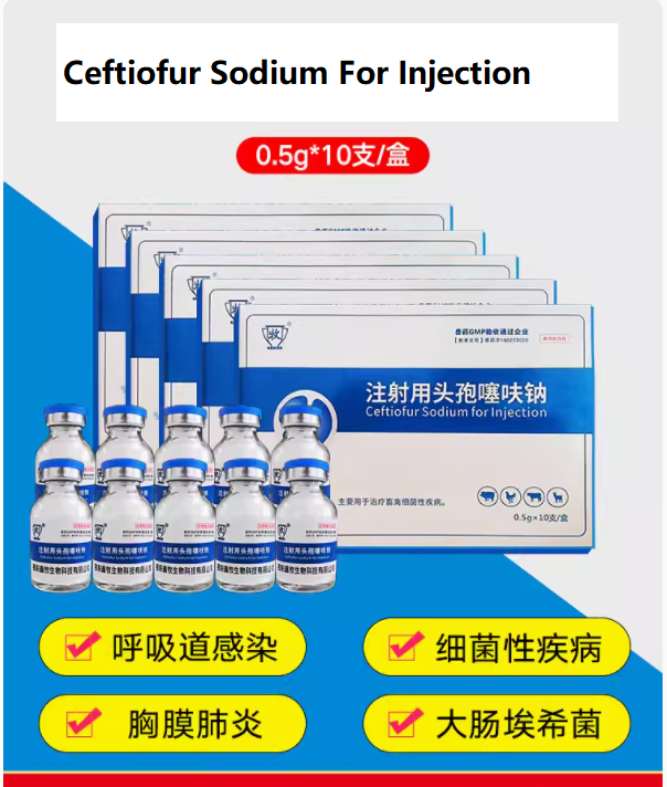 Supply Ceftriaxone Sodium for Injection 0.5g/1g And Powder for Animal